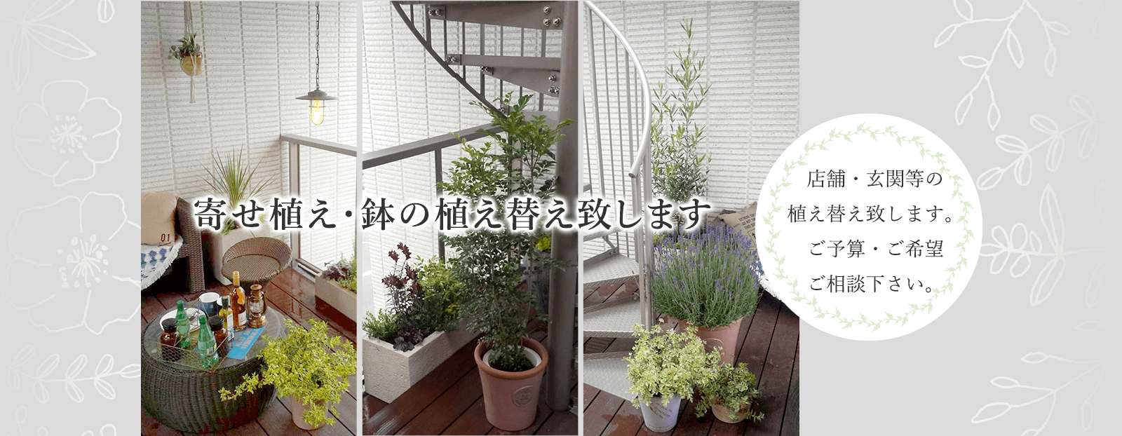 寄せ植え・鉢の植え替え致します